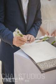 刘芸郑钧爆料了吗视频在线观看,揭秘娱乐圈背后真相